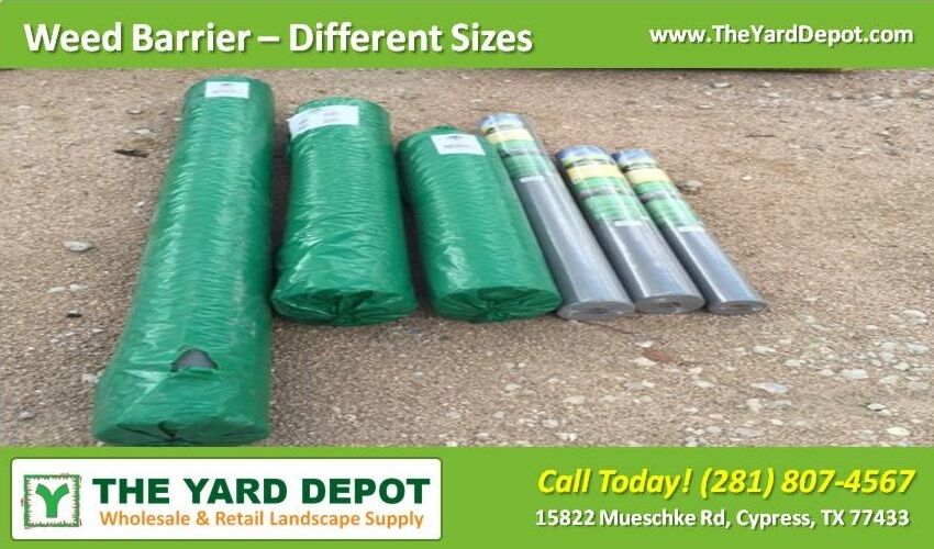 super shrub supply モッズコート COUNTRY YARD Amazon.com : Scotts EZ Seed Patch and Repair Tall Fescue